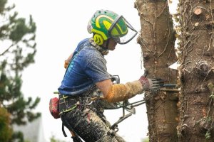 BQ_IMG_2035 BQ_IMG_2035